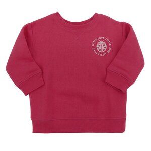 Jumping Beans Little Love 9M Pink Crewneck Fleece Sweatshirt Ladybug NEW NWOT